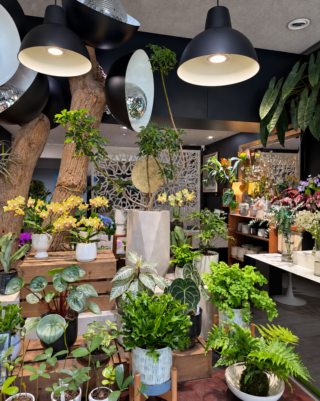 花植物商店內，花卉、植物與木質器物交錯的空間