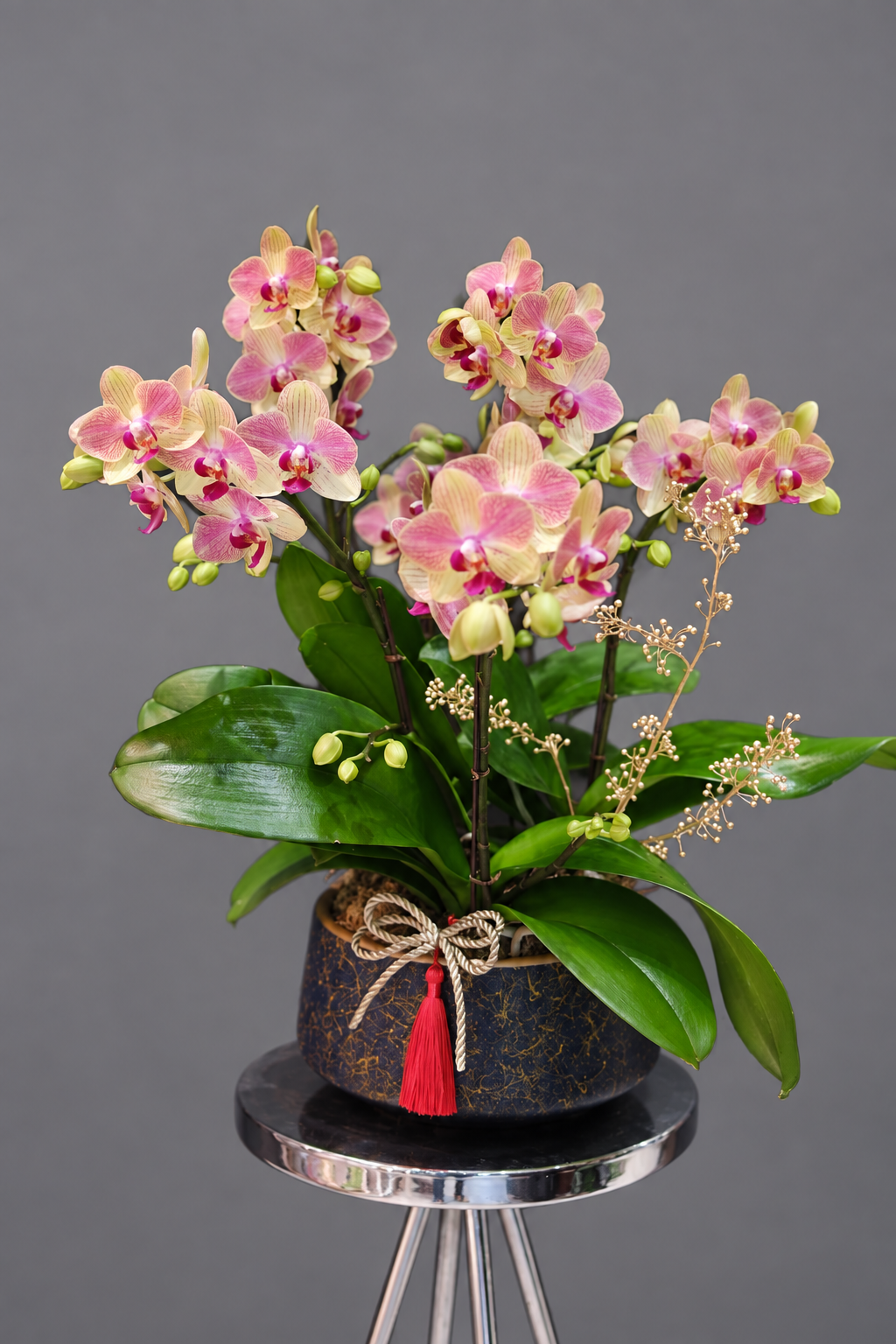 粉黃蘭花與黑金盆器
